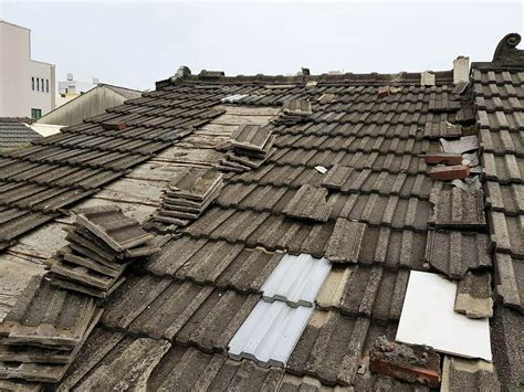 蜻蜓死在家裡 瓦片屋頂翻修
